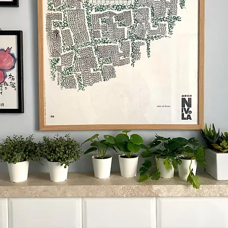 Via Roma A Un Passo Dalle Università! Sássari